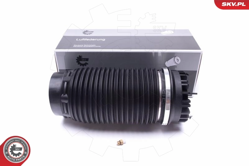 Air Spring, suspension